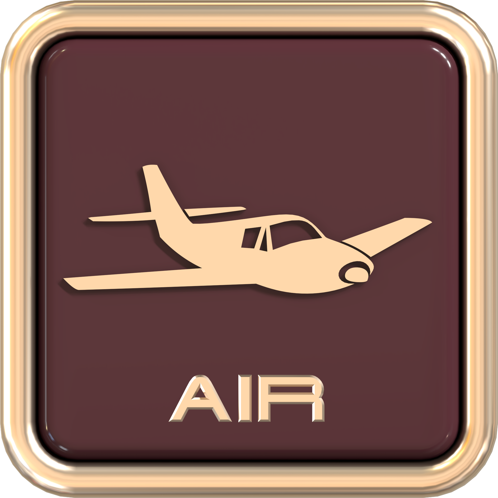 Air Cargo